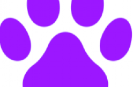 paw print