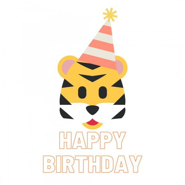Tiger in bday hat