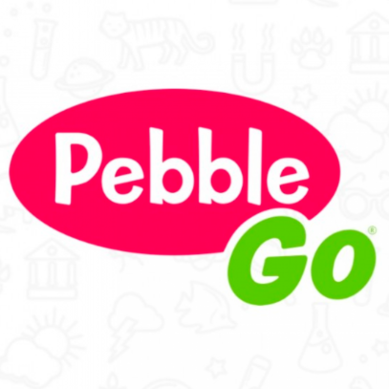 Pebble Go Link